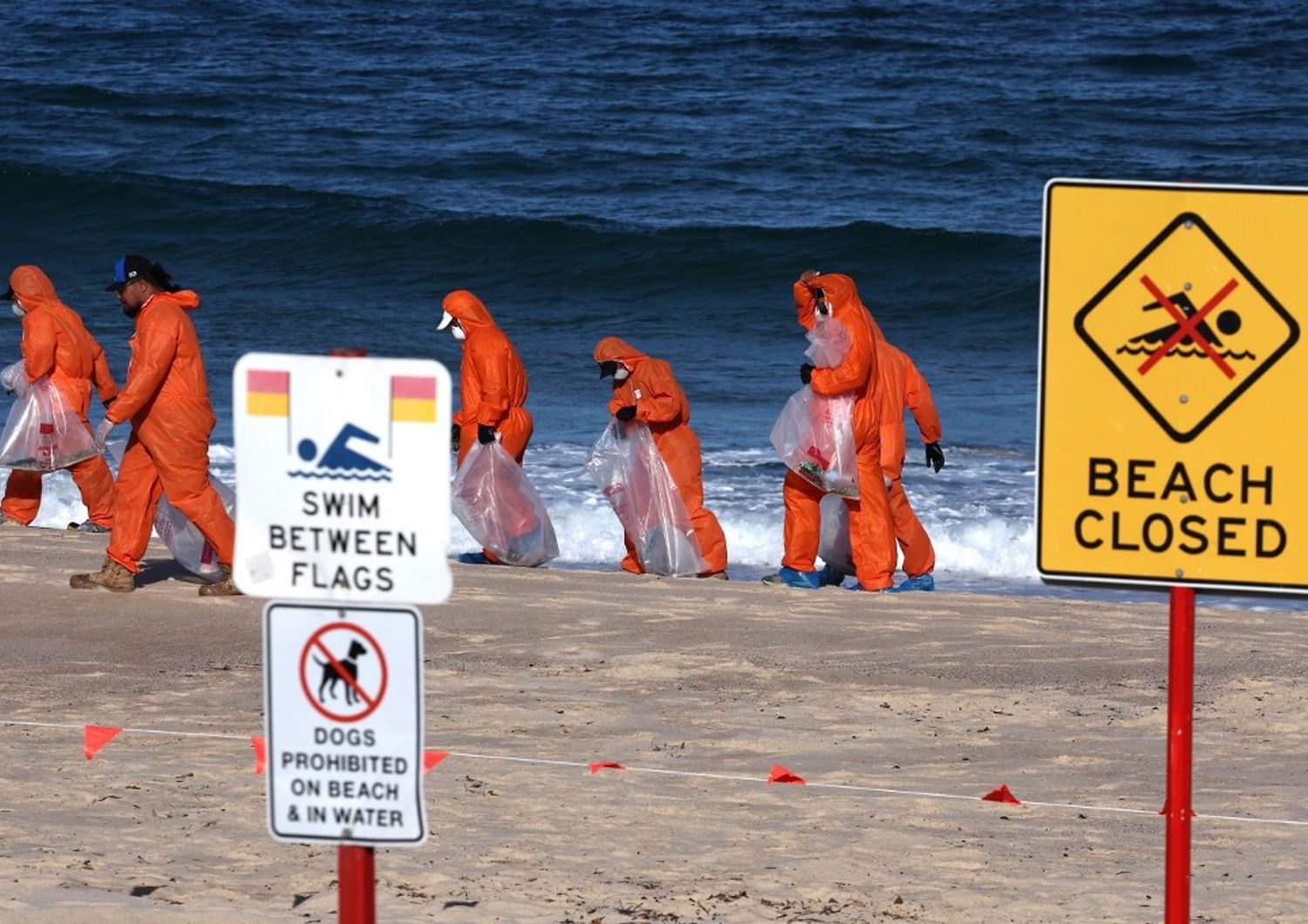 australia spiagge sydney invase da pallette di cacca e droga