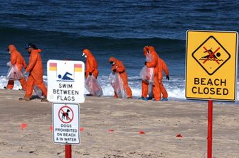 australia spiagge sydney invase da pallette di cacca e droga