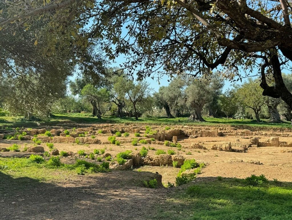 Un chiodo e un dado raccontano la vita degli antichi greci nella Valle dei Templi