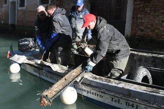 I&nbsp;gondolieri&nbsp;sub tornano in azione. Recuperati 6,5 quintali di rifiuti nei canali di Venezia