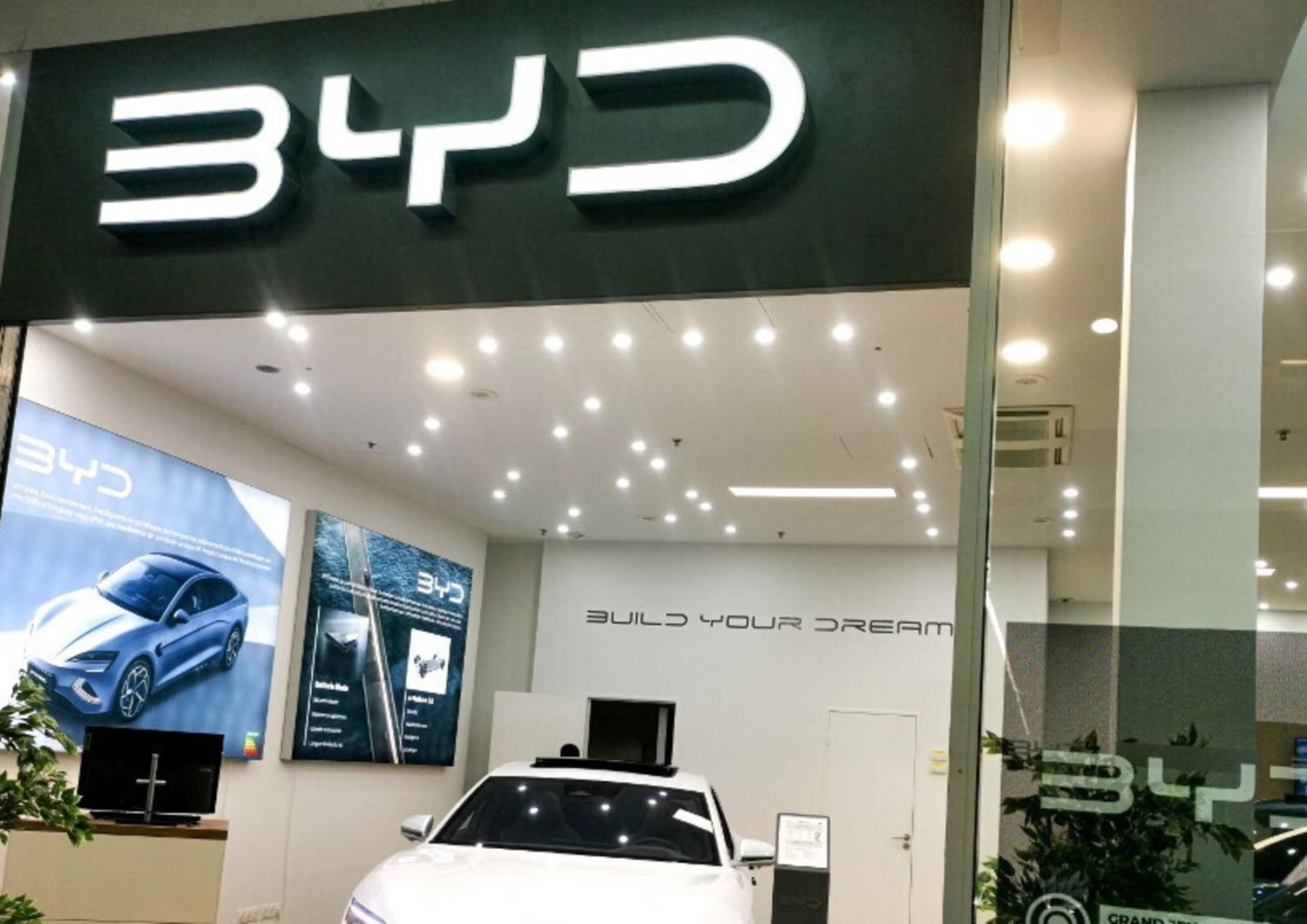 auto elettrica byd