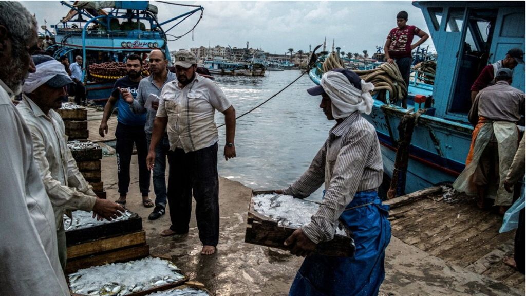 Des travailleurs déchargent du poisson frais d'un bateau de pêche.,Port de Damietta, Nord Egypte