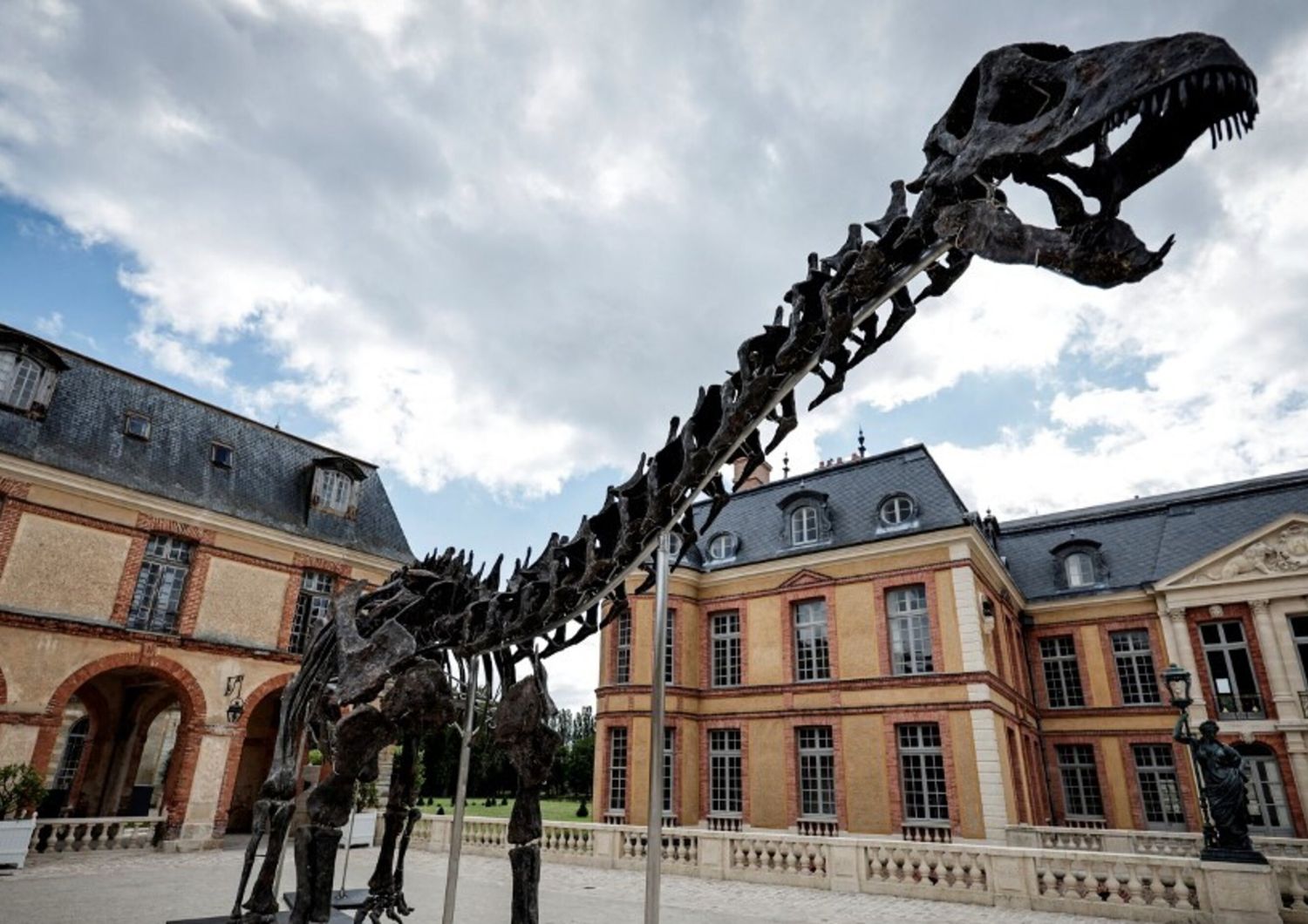 Scheletro di dinosauro venduto a 6 milioni in Francia