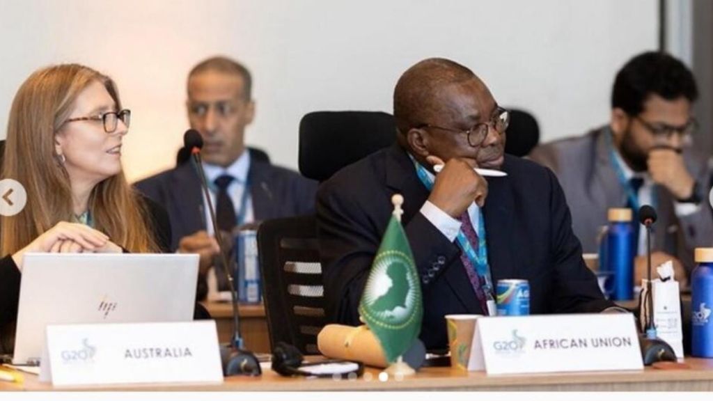 L’Afrique au G20 de Rio, le premier sommet pour l’Union africaine