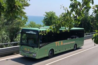 Il bus è in ritardo, padre e figlio picchiano l'autista