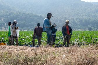 Proteggere chi denuncia. Ecco 'SiciliaSfruttaZero', la campagna contro il caporalato