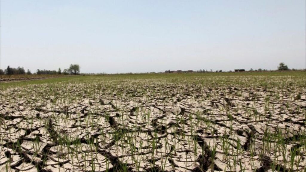 L’Égypte et l’Italie lancent la deuxième phase d'un projet commun sur les ressources hydriques