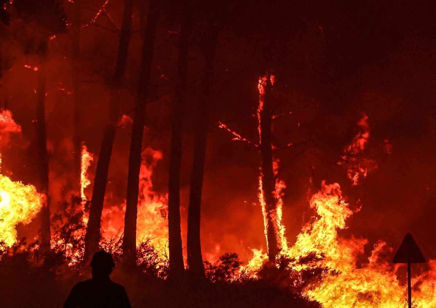 Incendi in Francia, foresta di Landiras