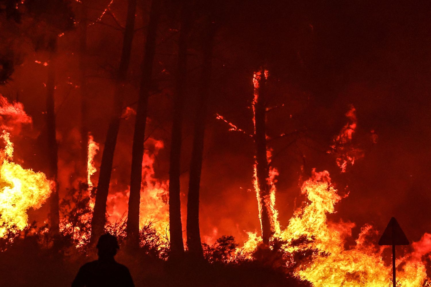 Incendi in Francia, foresta di Landiras