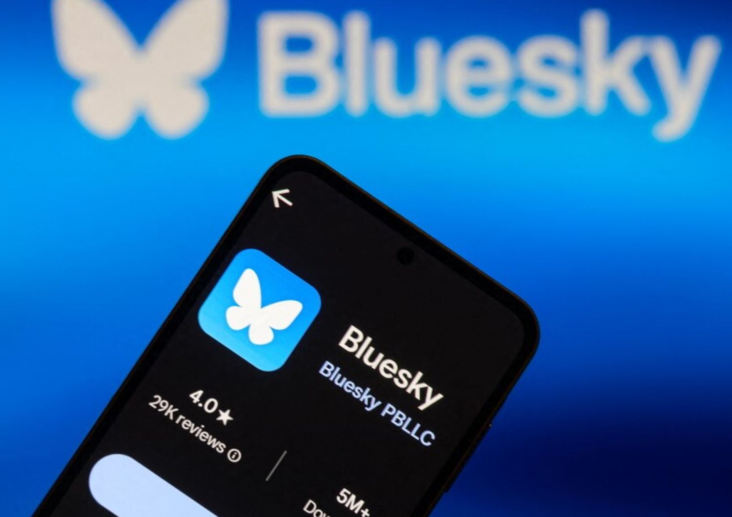 internet social network bluesky attenzione commissione europea dati mensili