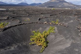 spagna casa orario lavoro ridotto giovani agricoltura