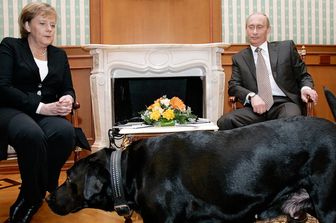 Putin chiede scusa a Merkel per averla spaventata con un cane