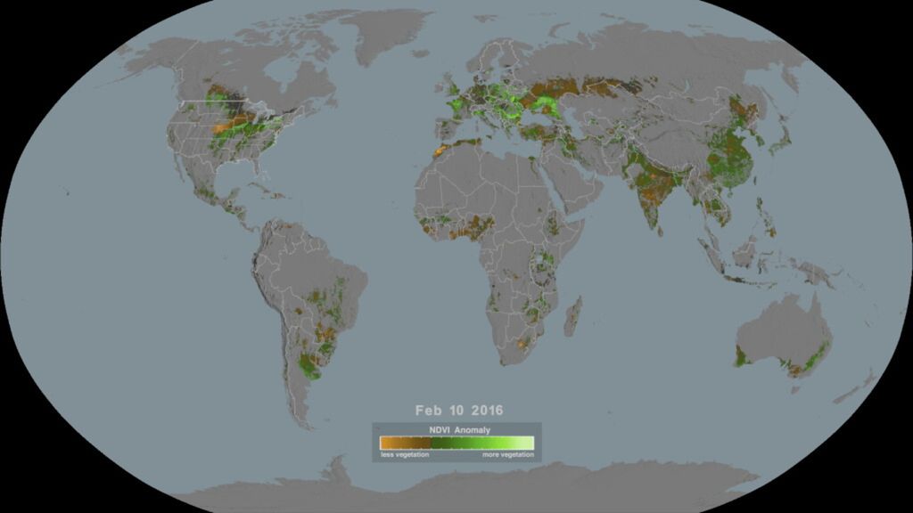 Visione globale dell'indice NDVI