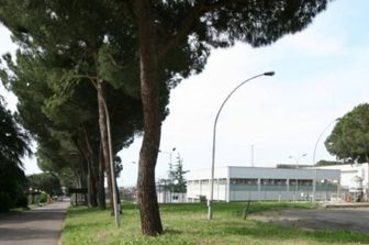 nucleare operaio contaminato da plutonio sito casaccia