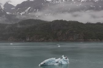 Parco nazionale di Glacier Bay, Alaska, iceberg