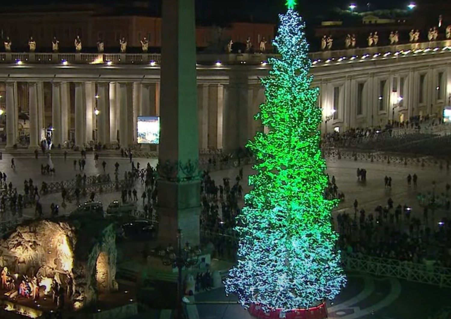 L'albero di Natale a piazza San Pietro