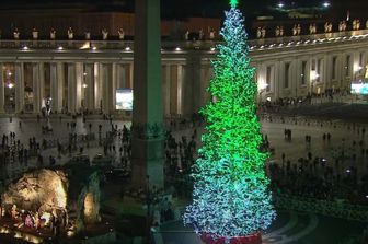 L'albero di Natale a piazza San Pietro