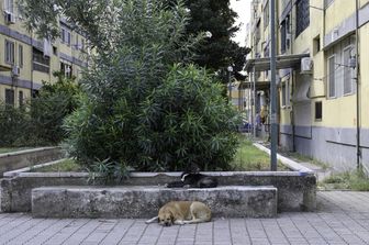 Il rione Parco Verde di Caivano&nbsp;