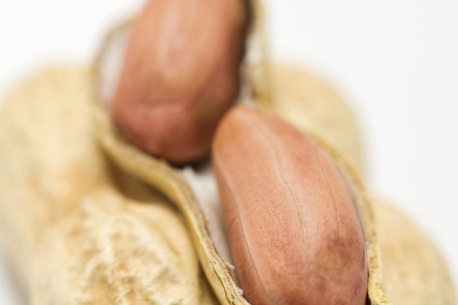 Aflatossina nelle arachidi provenienti dalla Cina, la Gdf sequestra un carico di 600 kg