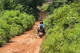 La route  Olounou-Oveng dans son état actuel