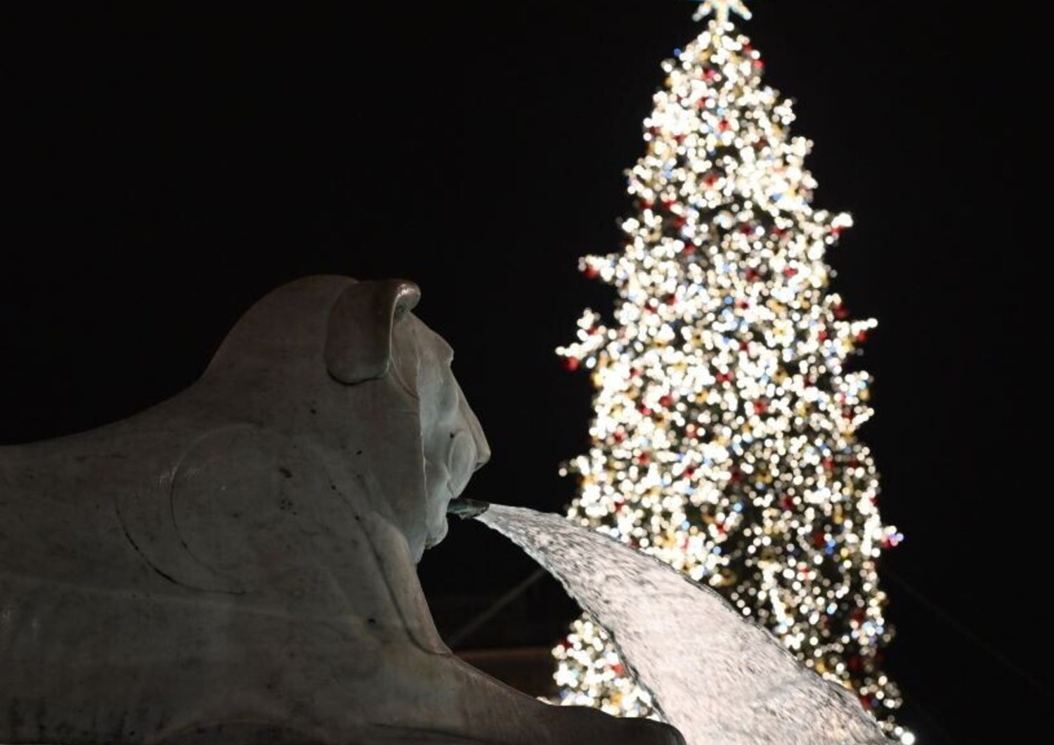 Albero di Natale Piazza del Popolo