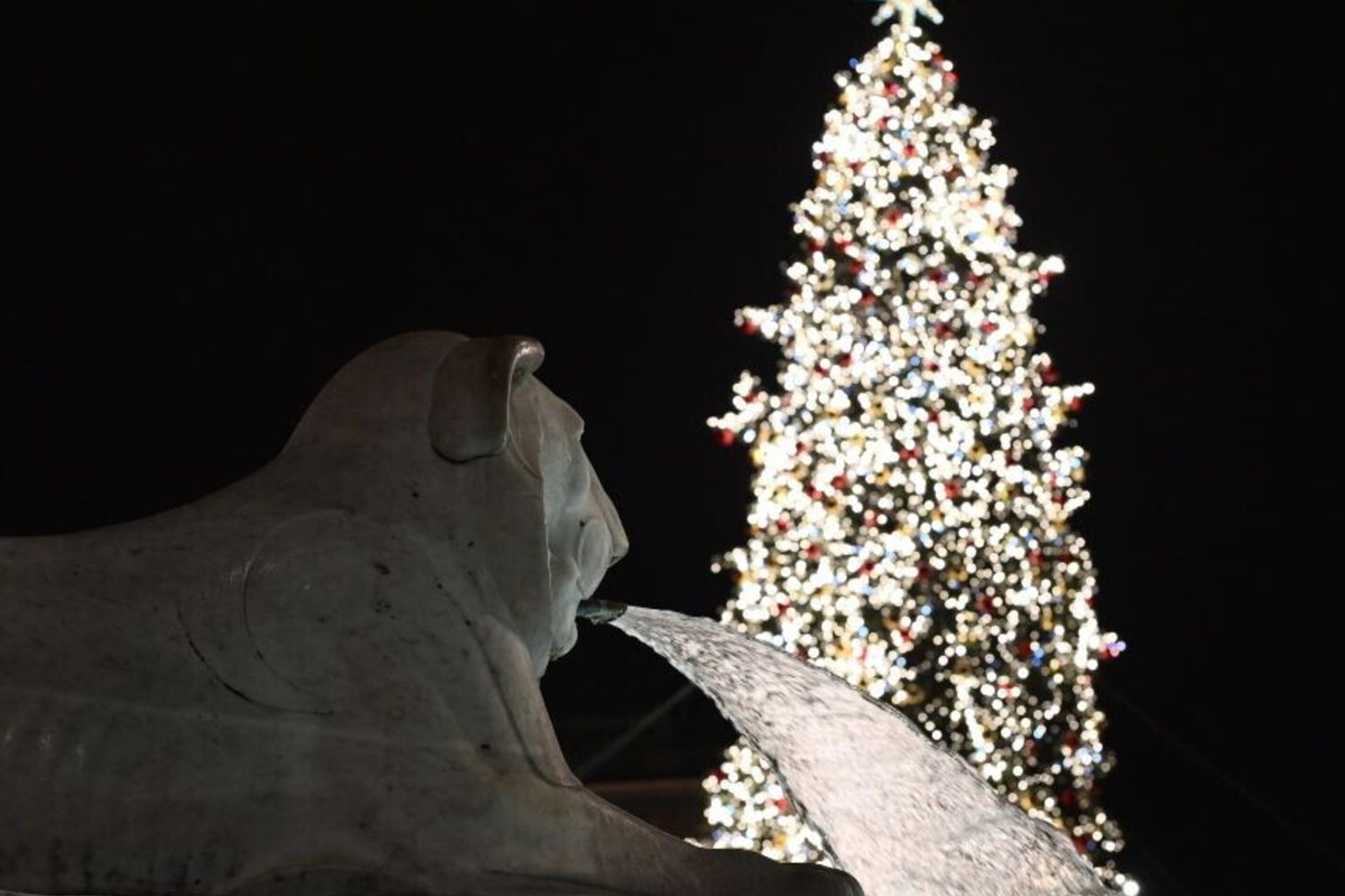 Albero di Natale Piazza del Popolo