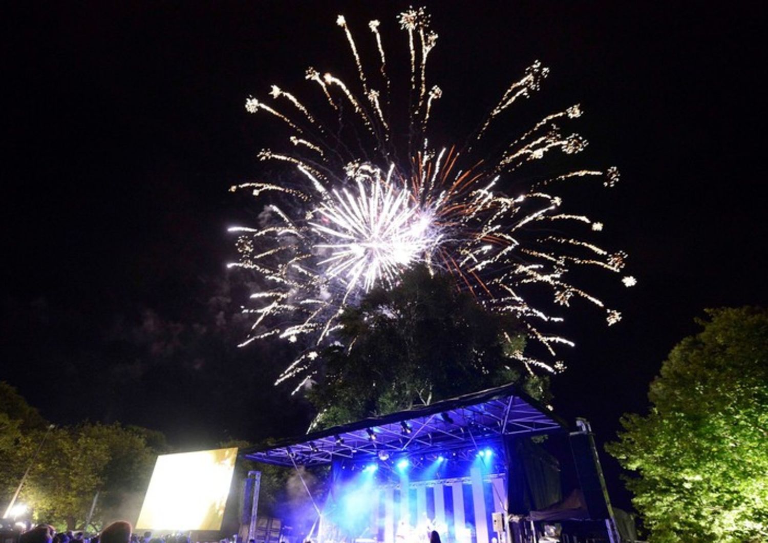 &nbsp;Fuochi d'artificio e festeggiamenti &nbsp;al Nord Hagley Park di Christchurch in Nuova Zelanda (foto Afp)