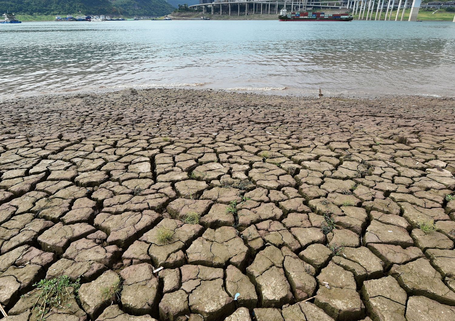 Nel 2024 oltre 200mila morti per guerre e disastri naturali