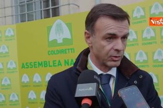 Prandini (Coldiretti): Mercosur può indebolire il sistema produttivo agricolo europeo