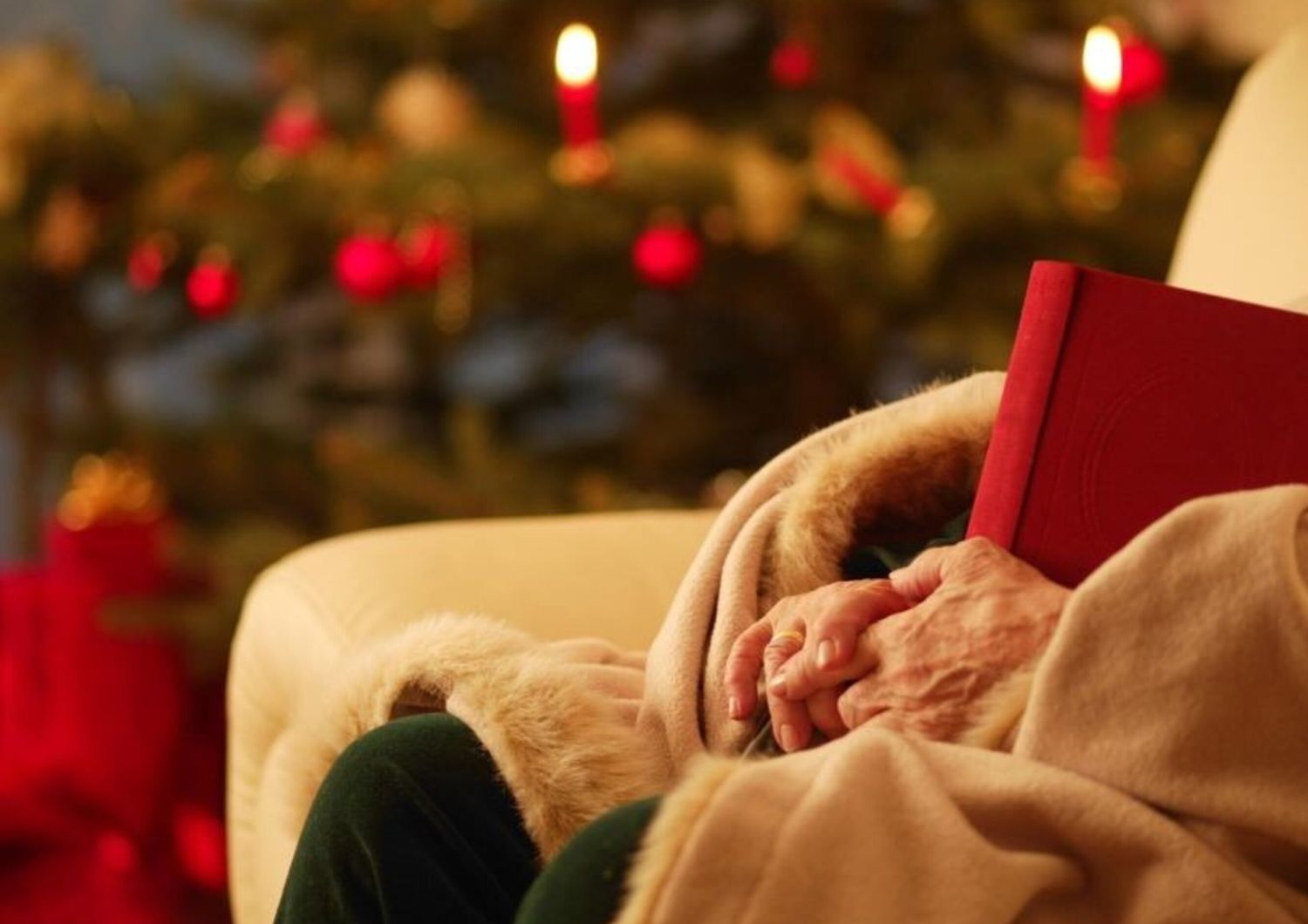 Libri sotto l'albero di Natale