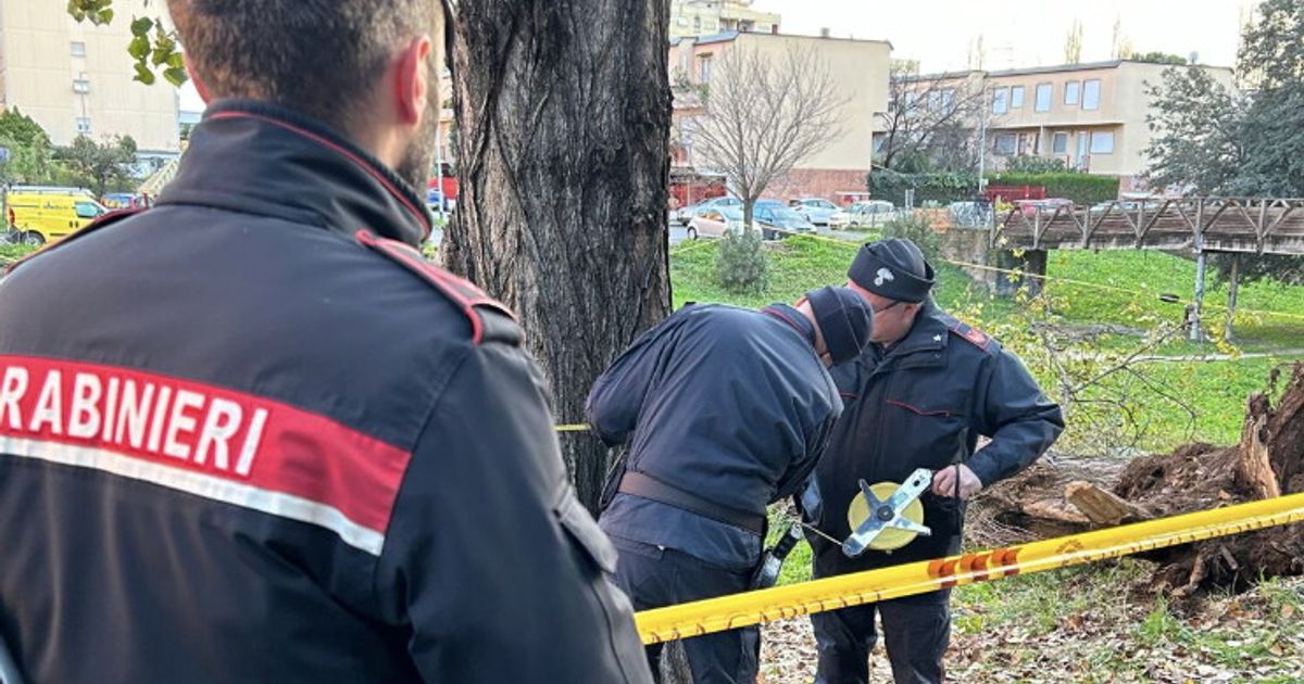 Cade un albero a Roma su un parco giochi: morta una donna, grave un