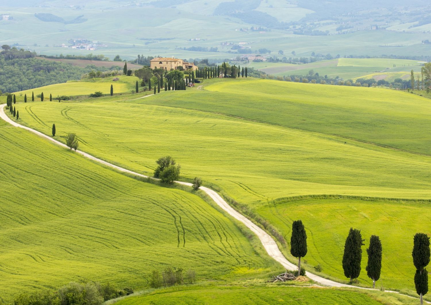 Perchè fare festa in un agriturismo è diventato un must