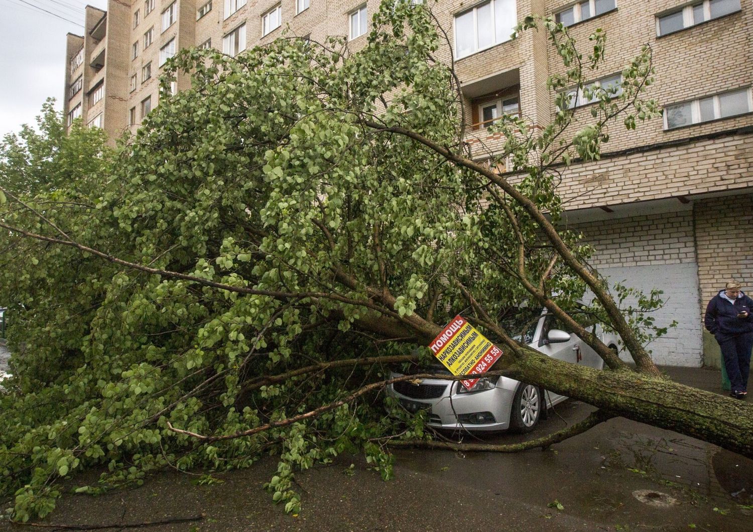 Un albero cade su un edificio a Roma, rotta una tubatura del gas