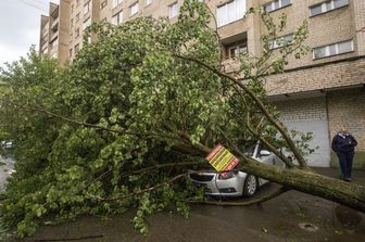 Un albero cade su un edificio a Roma, rotta una tubatura del gas