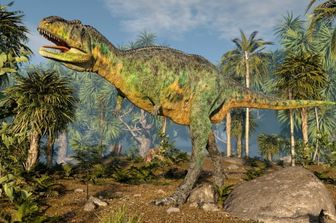 scoperto piu grande sito impronte dinosauri regno unito