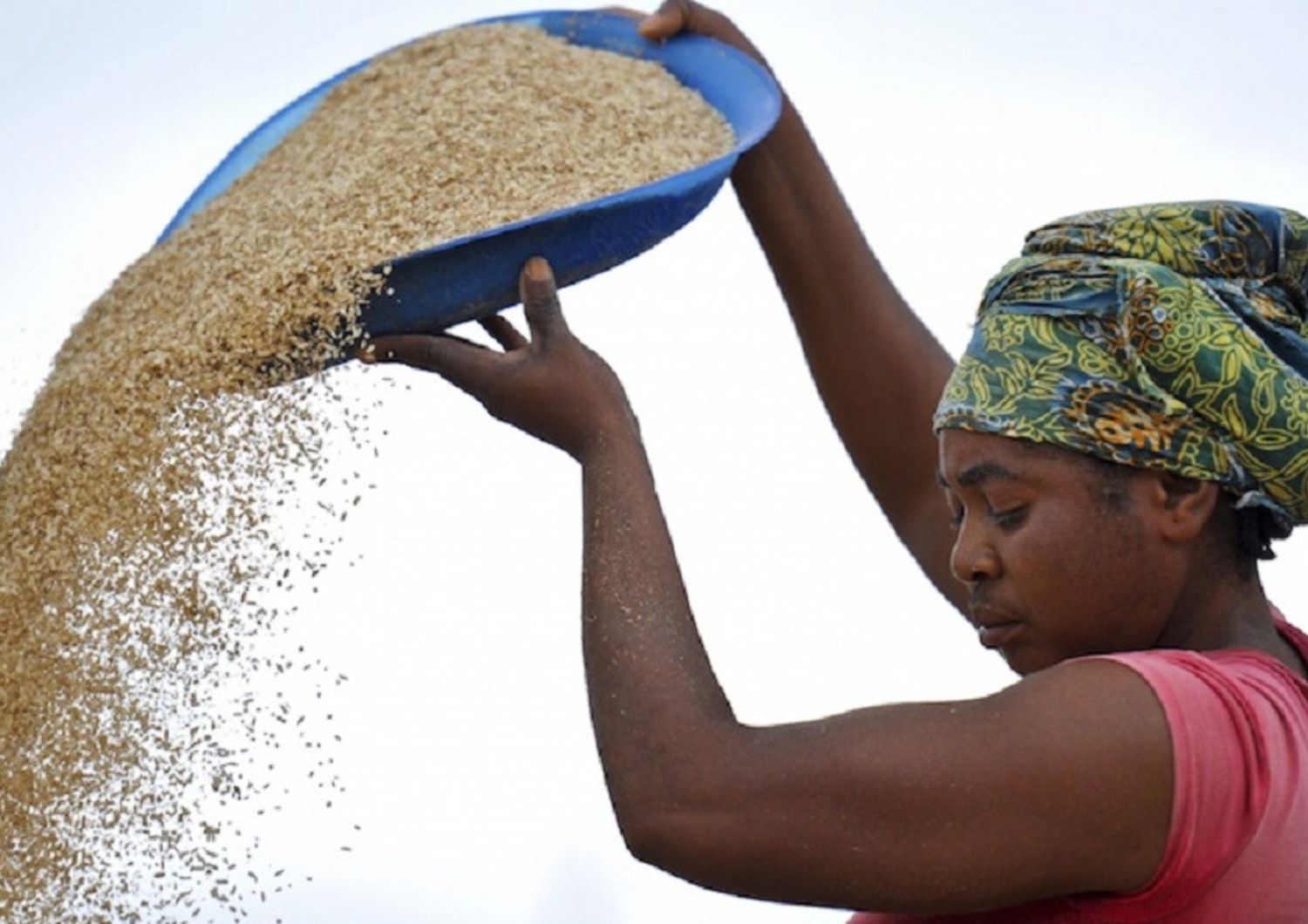 Il gruppo italiano BF impegnato nella formazione dei giovani africani nell'agroindustria