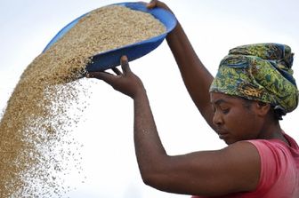 Il gruppo italiano BF impegnato nella formazione dei giovani africani nell'agroindustria