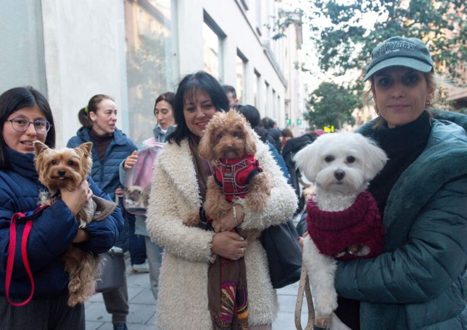 a milano gli animali potranno essere sepolti con i loro padroni