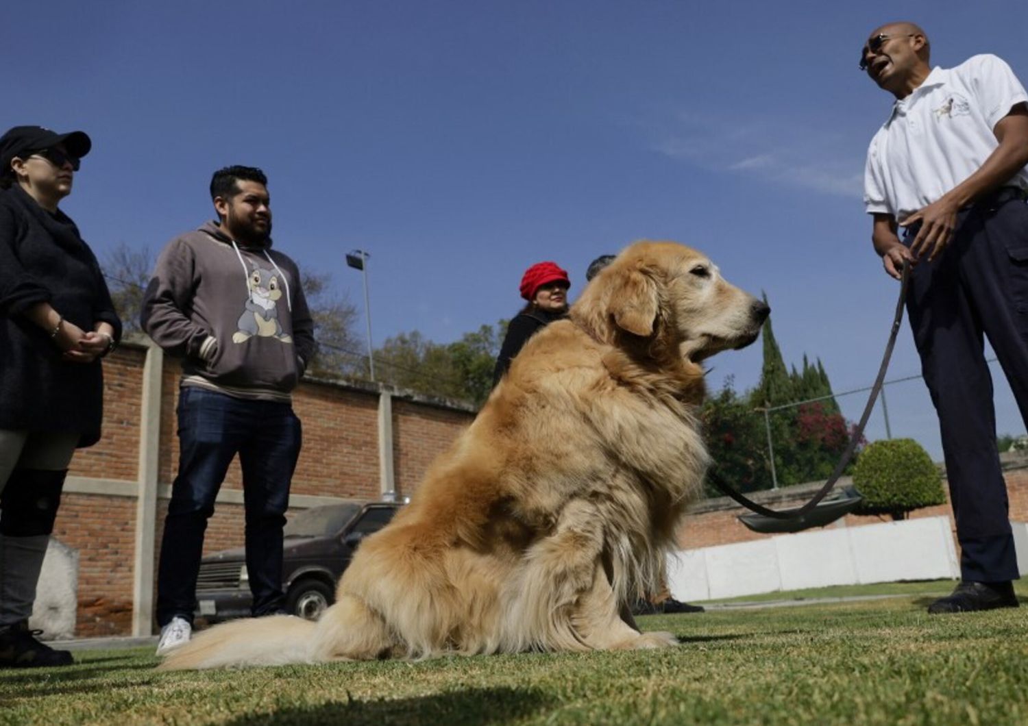 scienza studio cani e padroni su stessa lunghezza onda