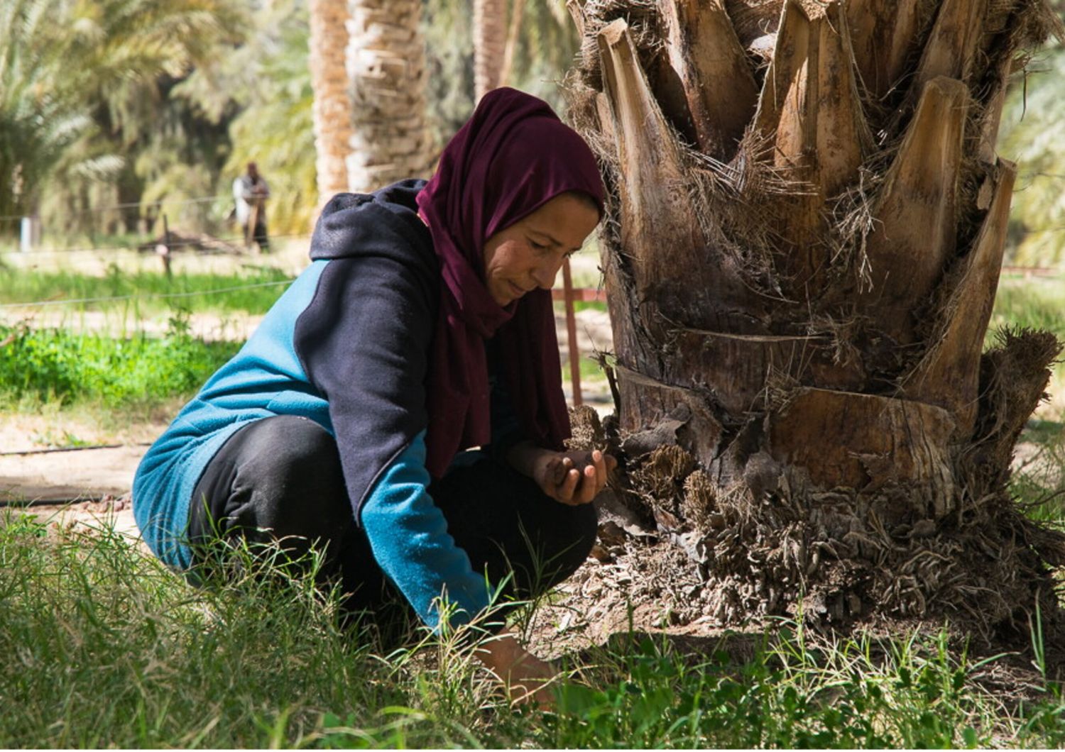 Italia e Tunisia insieme per la sicurezza alimentare, al via il progetto Tanit