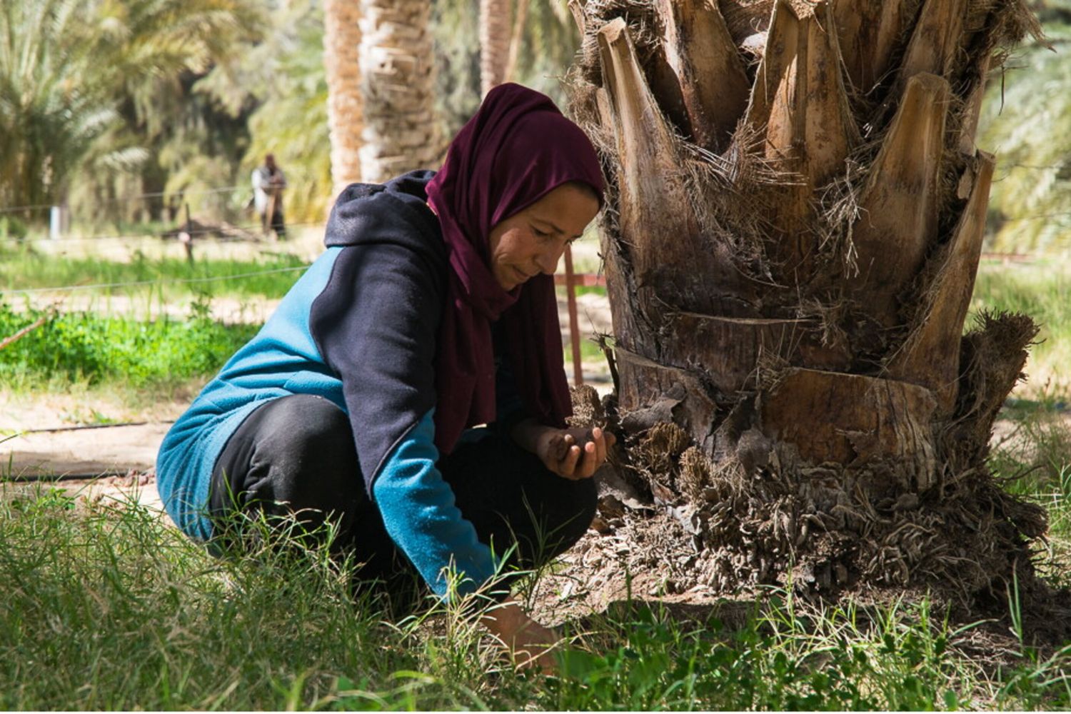 Italia e Tunisia insieme per la sicurezza alimentare, al via il progetto Tanit