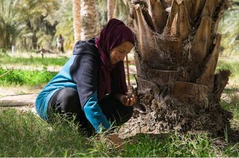 Italie et Tunisie ensemble pour la sécurité alimentaire, lancement du projet Tanit