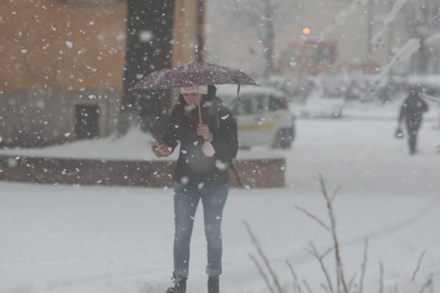 &nbsp;Freddo in Alto Adige&nbsp;