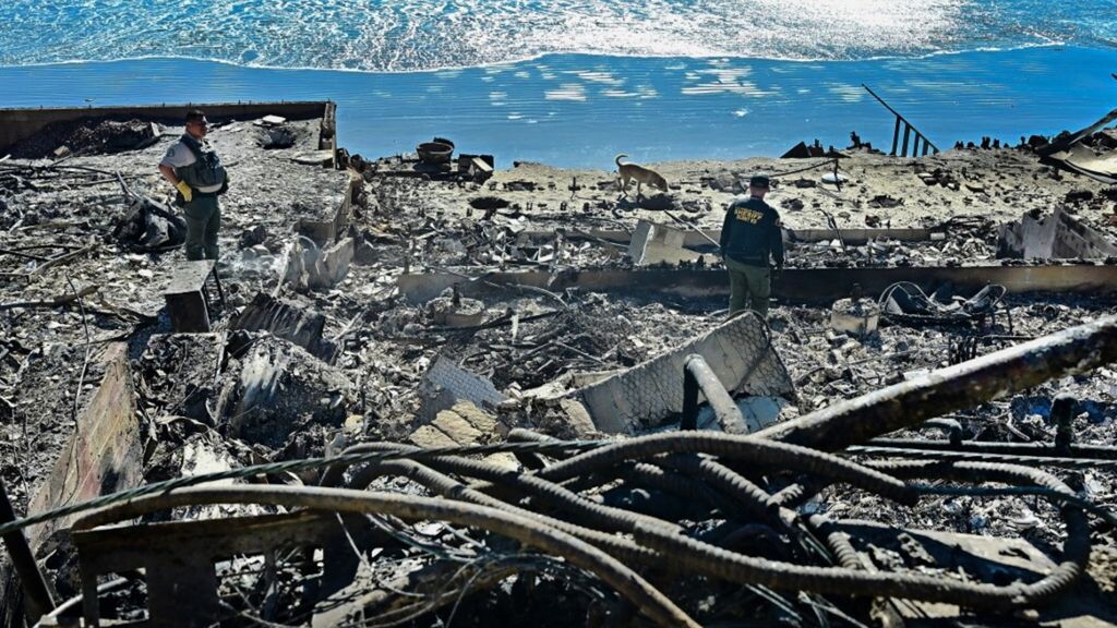 Los Angeles brucia ancora e il vento alimenta le fiamme. 24 i morti