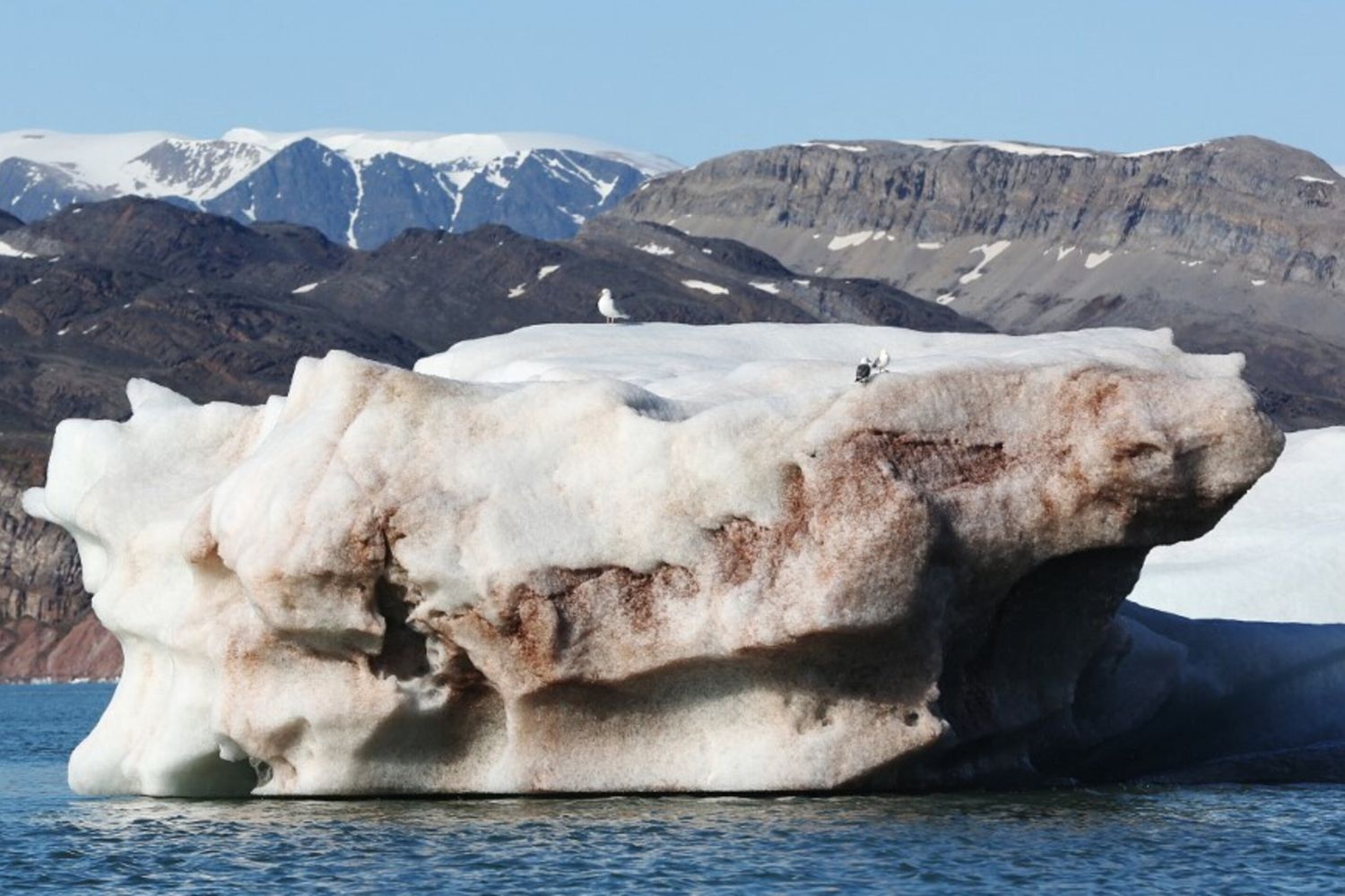Fa troppo caldo, i ghiacciai dell'Artico si sono ridotti anche di 800 km quadrati