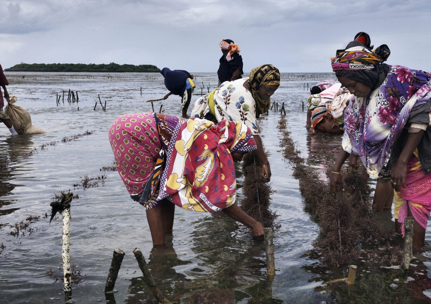 Au Mozambique cap sur l’économie bleue, l'Italie mise sur tourisme et environnement