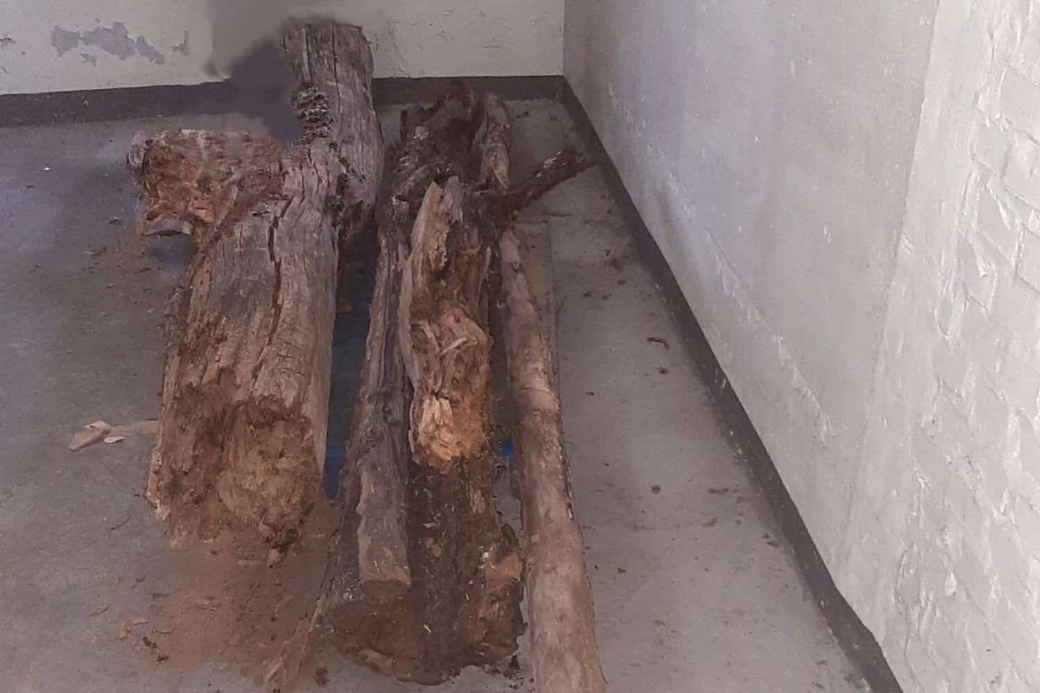 Eccidio nazista a Modena, ritrovati i tronchi del patibolo dove furono giustiziati 8 partigiani