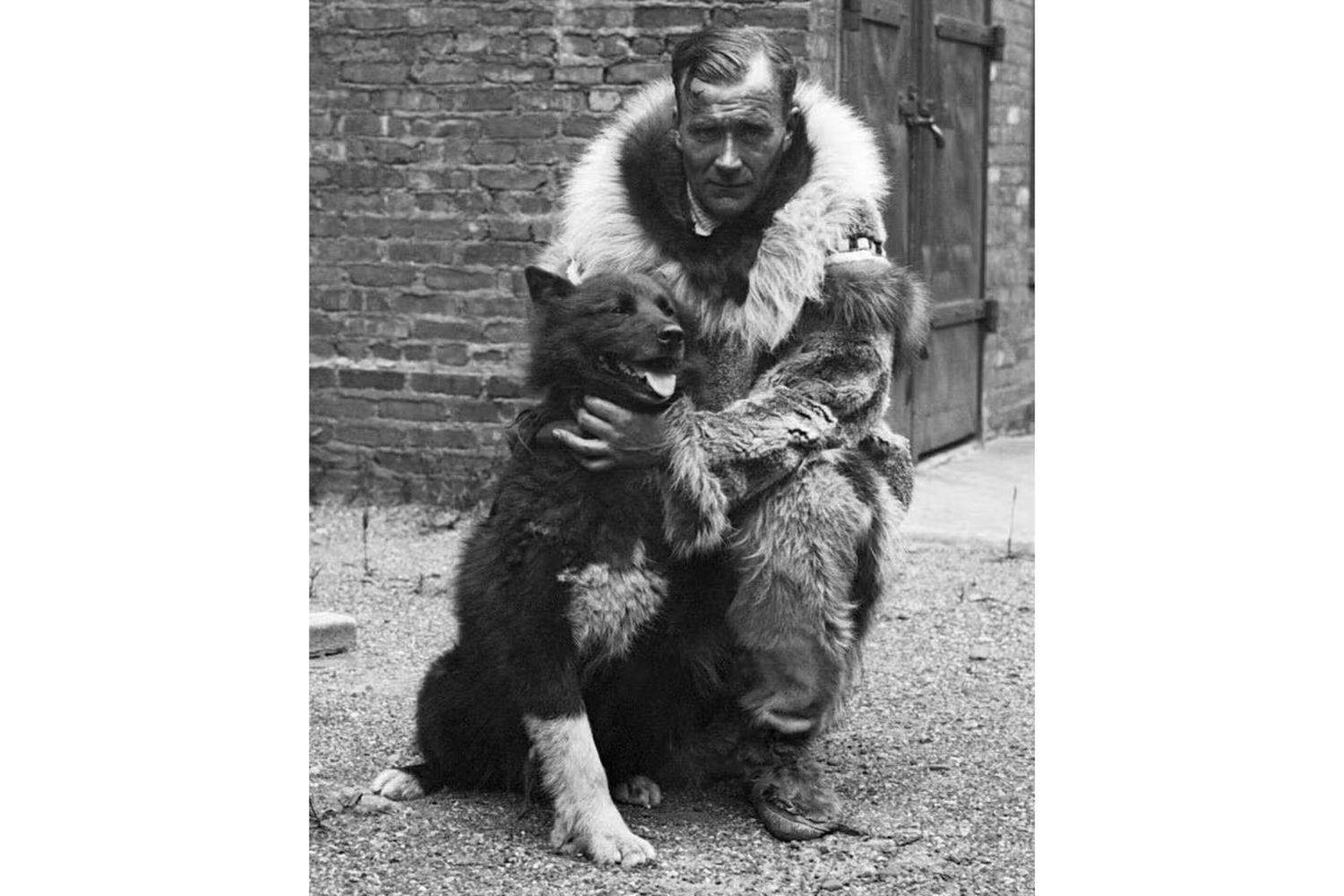 I cani eroi tra le nevi dell’Alaska nella disperata corsa per la vita