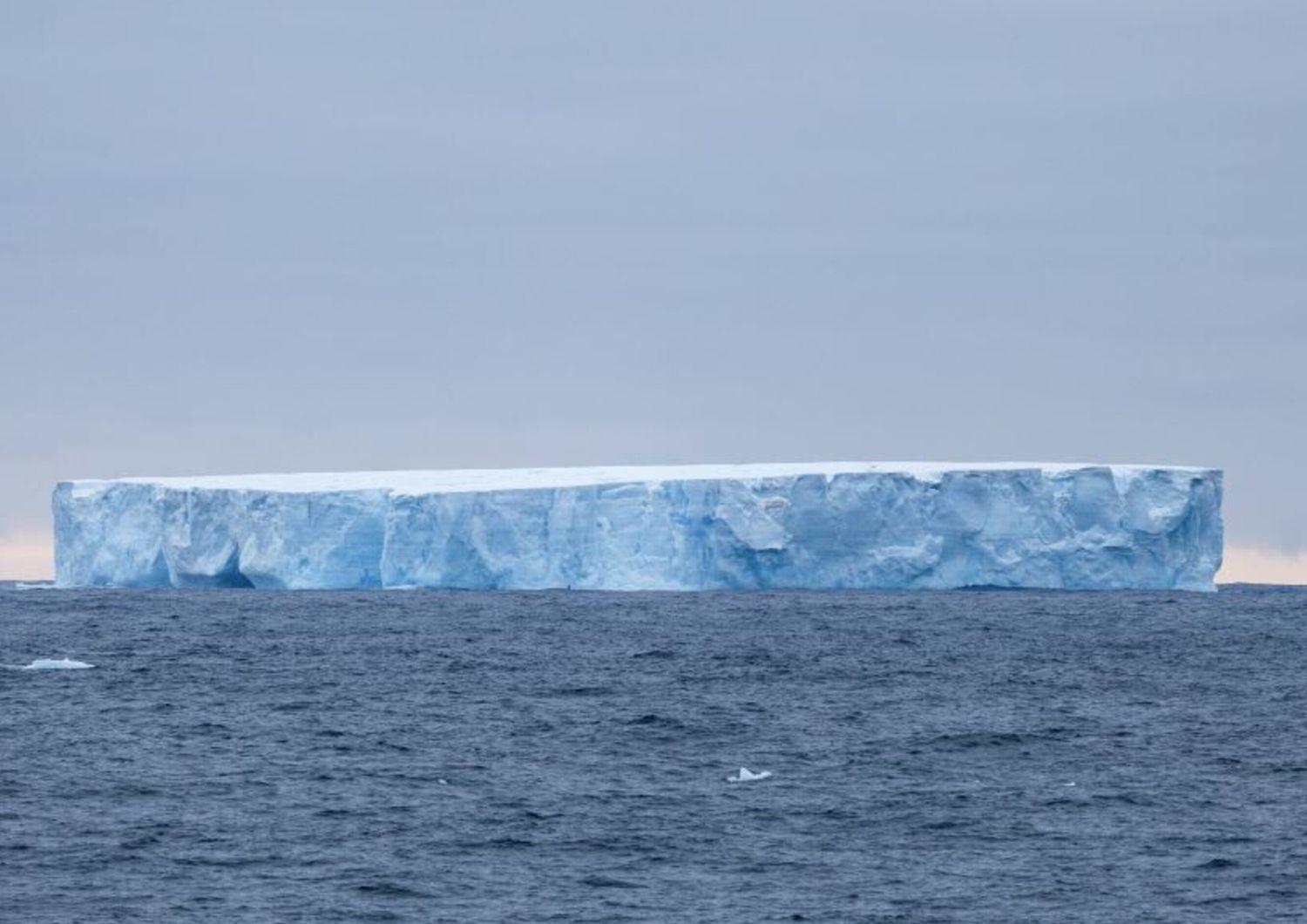 L'iceberg più grande del mondo è in rotta di collisione con una remota  isola britannica