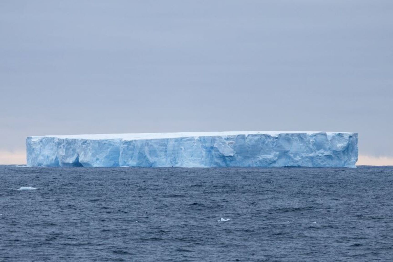 L'iceberg più grande del mondo è in rotta di collisione con una remota isola britannica